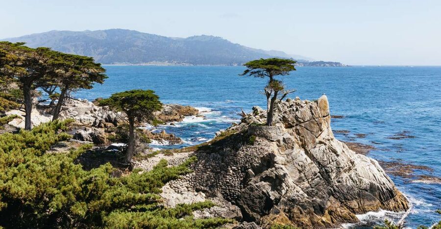 From San Francisco: Monterey and Carmel Day Tour - Pigeon Point Lighthouse and Davenport: scenic warm-up stops