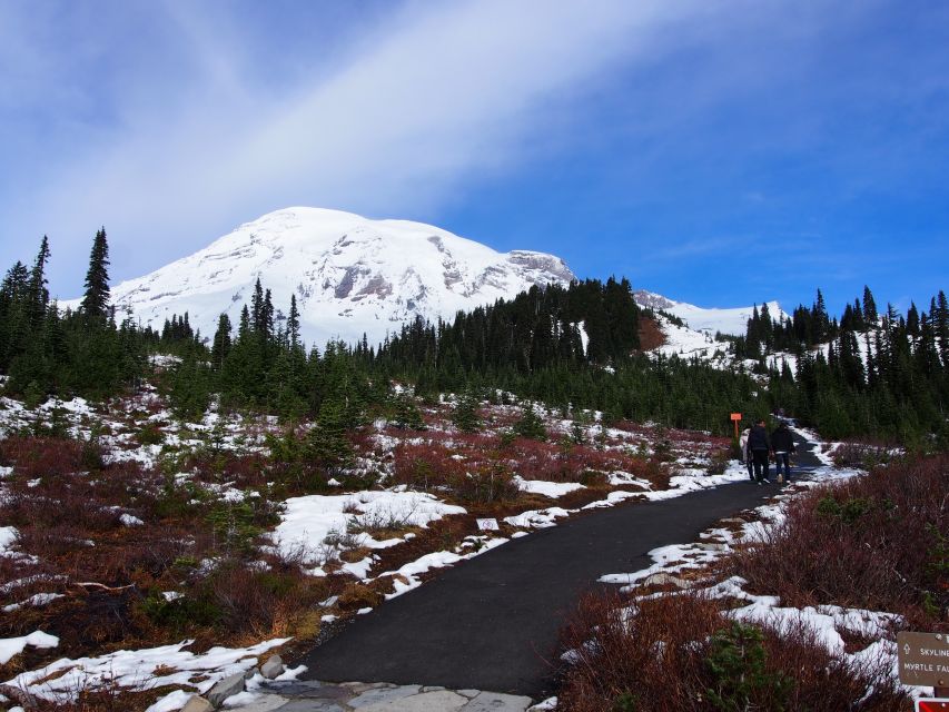 From Seattle: Mount Rainier National Park Guided Tour - Entering the park through forest and waterfall country