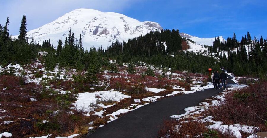 From Seattle: Mount Rainier National Park Guided Tour - Longmire and the winter side of Rainier
