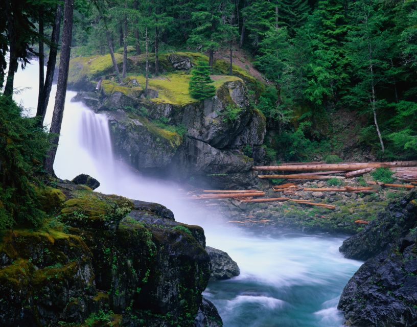 From Seattle: Mount Rainier National Park Guided Tour - What the minibus ride is really like