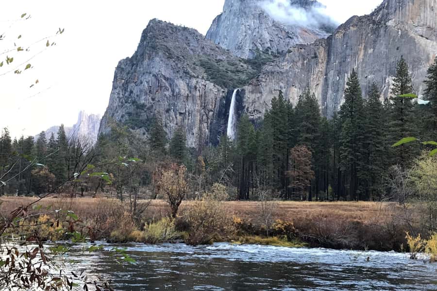 From SF: Yosemite Day Trip with Giant Sequoias Hike & Pickup - What the guides add to the experience