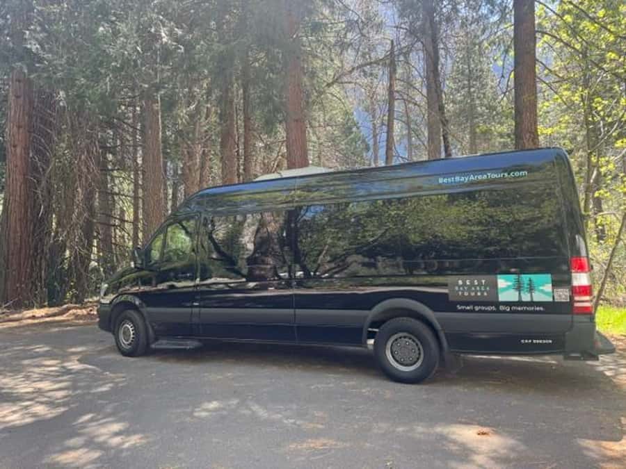 From SF: Yosemite Day Trip with Giant Sequoias Hike & Pickup - Half Dome and Yosemite Falls fill the valley