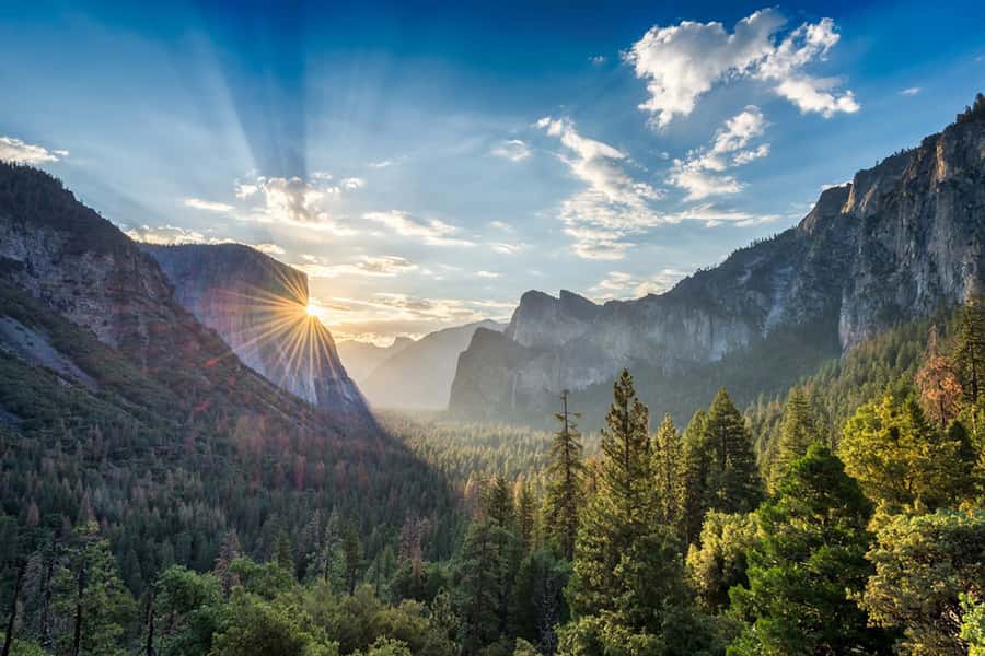 From SF: Yosemite Day Trip with Giant Sequoias Hike & Pickup - Valley View is the last big valley photograph