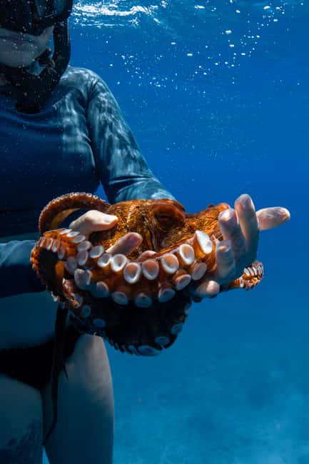 From Waikiki: Turtle Canyon Snorkeling Tour - Getting back aboard and winding down with a cold drink