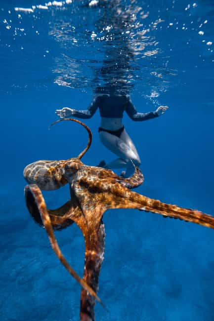 From Waikiki: Turtle Canyon Snorkeling Tour - Who should book this snorkeling tour?