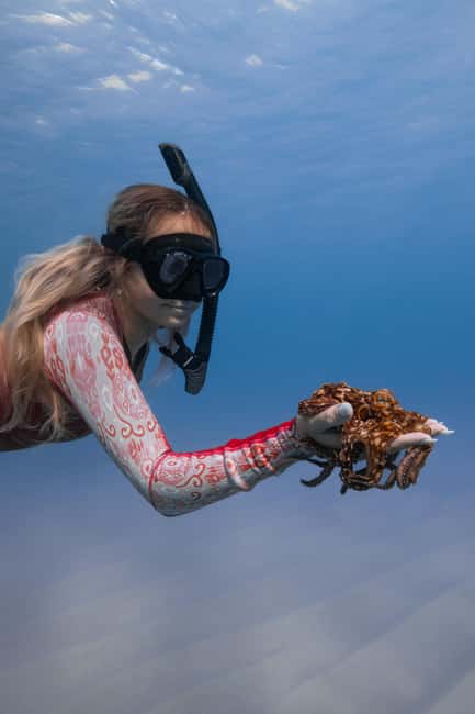 From Waikiki: Turtle Canyon Snorkeling Tour - Practical tips for a better morning on the water