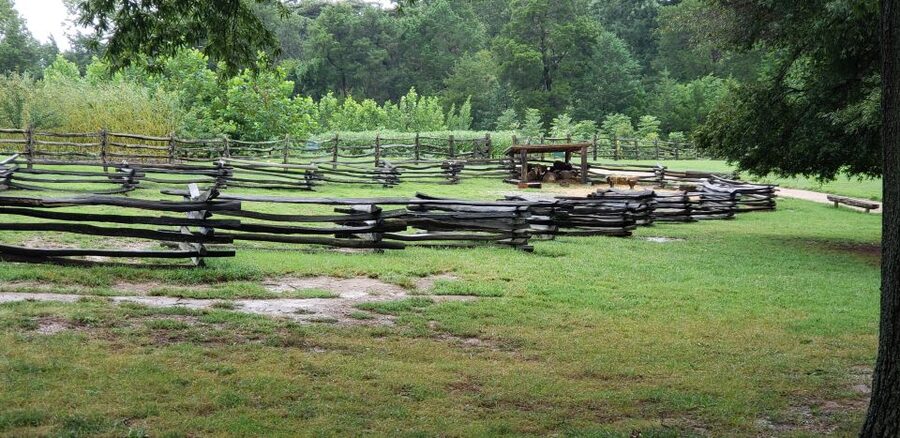 From Washington DC: Old Town Alexandria & Mount Vernon Tour - What the mansion tour adds, and what renovation changes