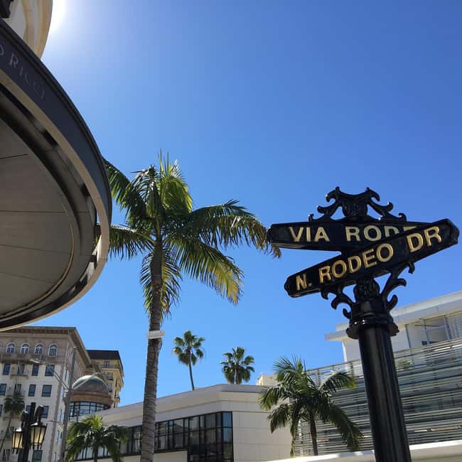 Full-Day City Tour of LA, Hollywood, Beverly Hills & Beaches - The vehicle, guides, and pace