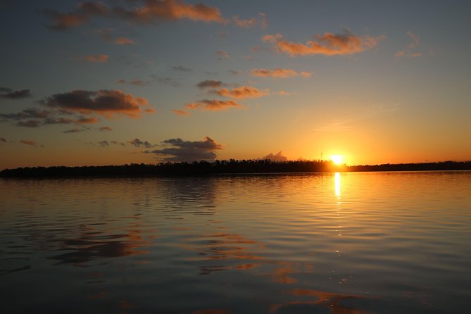 Full-Day Kayak Adventure in the Everglades - Mangrove kayaking near Florida Bay