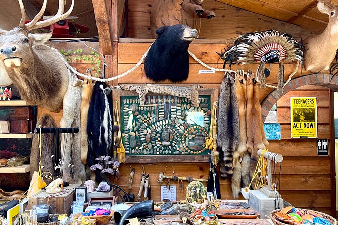 Gem Mining and Goat Farm Walking Tour in Hendersonville - Value, spending, and what is included