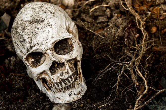 Gettysburg: Ghost Hunt Tour with Ghost Hunting Equipment - The guides shape the quality of the tour