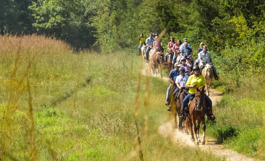 Gettysburg: Licensed Guided Battlefield Horseback Tour - The First Stretch Through Gettysburg National Military Park