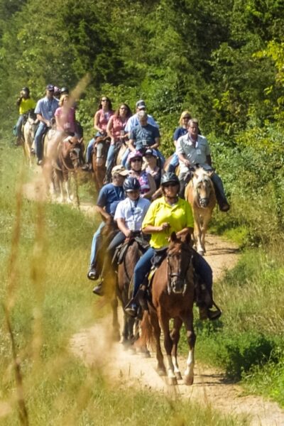 Gettysburg: Licensed Guided Battlefield Horseback Tour