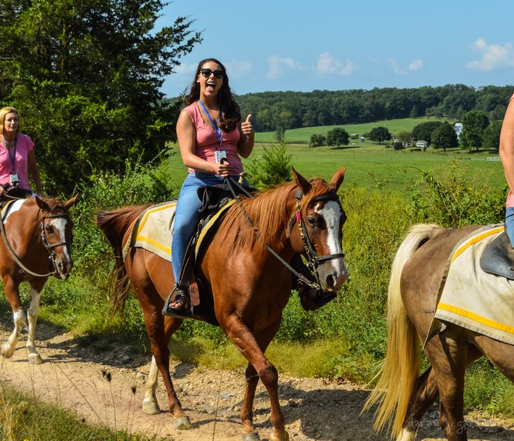 Gettysburg: Licensed Guided Battlefield Horseback Tour - The Virginia Monument and Pickett’s Charge