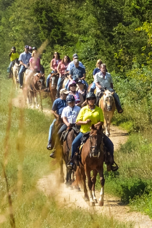 Gettysburg: Licensed Guided Battlefield Horseback Tour - Meeting at McMillan Woods Campground