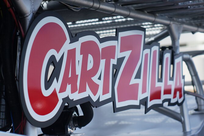 Giant Shopping Cart Limo Ride in Las Vegas - Who should book this ride?