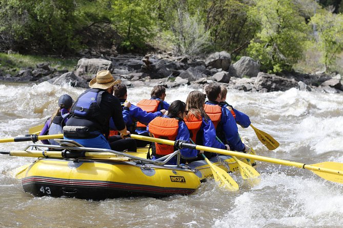 Glenwood Springs Half-Day Rafting Trip - Safety, equipment, and the family question