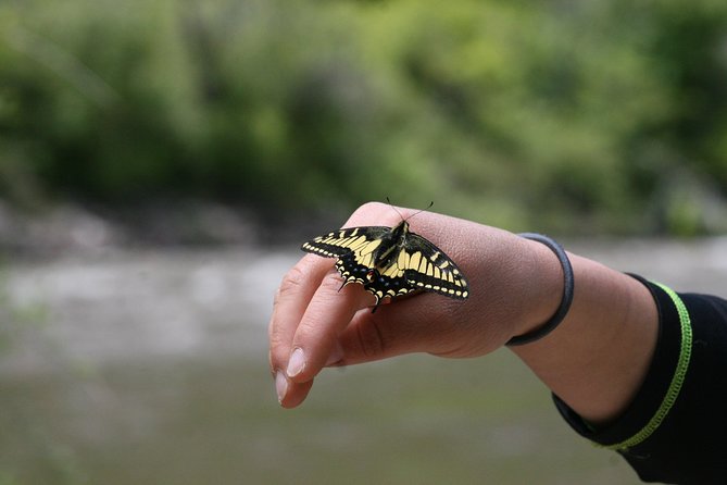 Glenwood Springs Half-Day Rafting Trip - What you get for $78