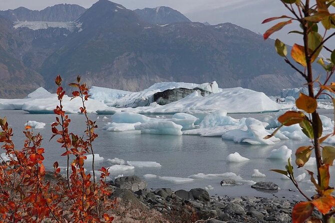 Grand Knik Helicopter Tour - 2 hours 3 landings - ANCHORAGE AREA - Who will enjoy this tour most