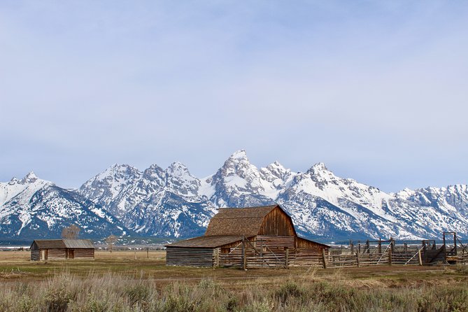 Grand Teton Half Day Tour - Key things to know before you book