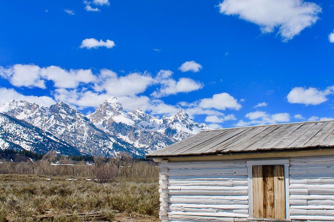 Grand Teton Half Day Tour - Morning or afternoon: which departure should you choose?