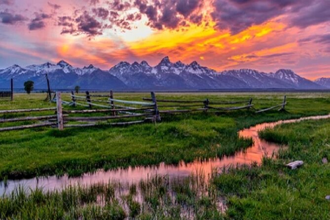 Grand Teton Wildlife Safari in a Enclosed or Open-Air Vehicle (season dependent) - Key points at a glance
