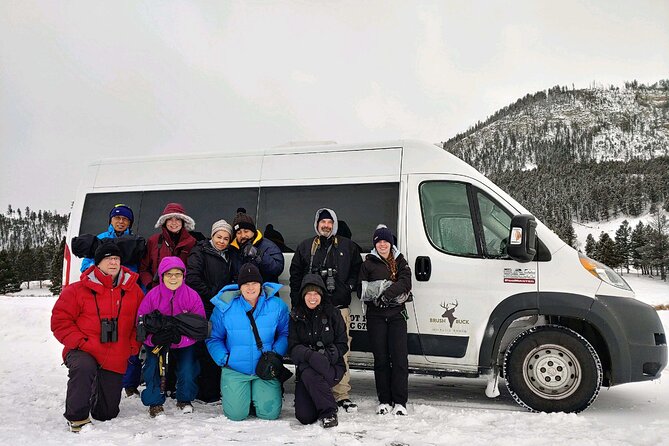 Grand Teton Wildlife Safari in a Enclosed or Open-Air Vehicle (season dependent) - Why this safari works better than a standard park drive