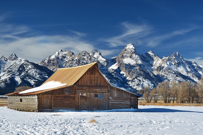 Grand Teton Wildlife Safari in a Enclosed or Open-Air Vehicle (season dependent) - Mormon Row and the famous barns