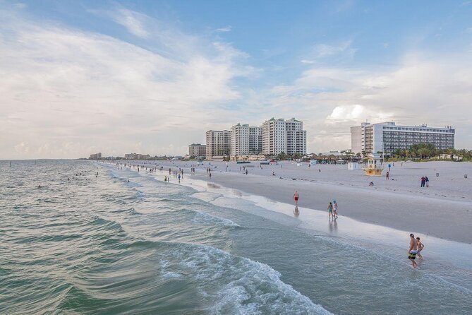 Guaranteed Dolphin Sighting Tour on Tropics Boat Tours - Key points to know before you book