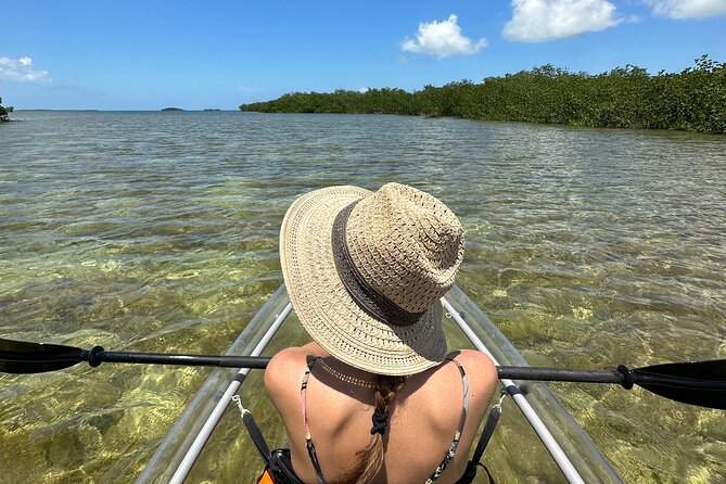 Guided Clear Kayak Eco-Tour Near Key West - The important details at a glance