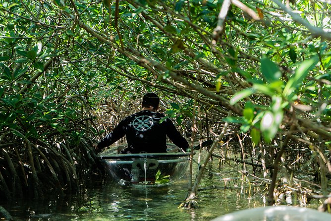 Guided Clear Kayak Eco-Tour Near Key West - Entering the mangrove tunnels