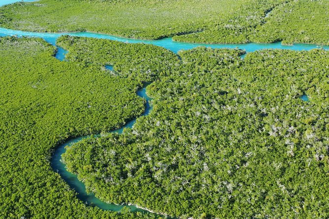 Guided Clear Kayak Eco-Tour Near Key West - Practical ways to enjoy the paddle