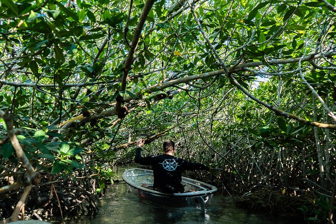 Guided Clear Kayak Eco-Tour Near Key West - Crossing the bay before the mangroves