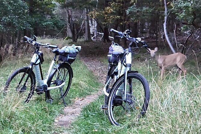 Guided Ebike Tour of Acadia National Park Carriage Roads - Starting at Hulls Cove and climbing Paradise Hill