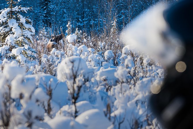 Guided Fairbanks Snowmobile Tour - Getting ready at Rod’s Alaskan Guide Service