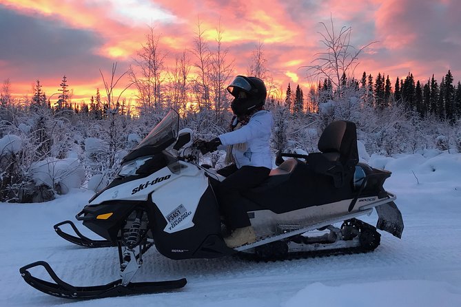 Guided Fairbanks Snowmobile Tour - Wildlife chances, with no guarantees