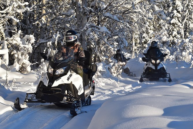 Guided Fairbanks Snowmobile Tour - What the group size and guide style mean
