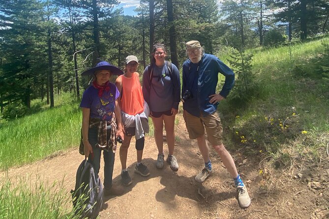 Guided Hiking Tour in Colorado Rocky Mountains View of Mt BlueSky - How the $85 price holds up