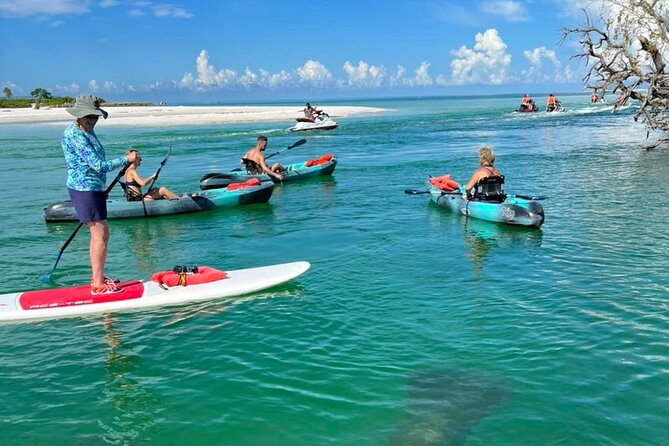 Guided Island EcoTour: CLEAR/Standard Kayak, SUP - Bonita Springs - The island beach and shelling stop