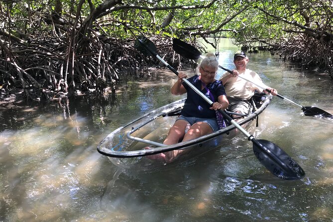 Guided Island EcoTour: CLEAR/Standard Kayak, SUP - Bonita Springs - Wildlife expectations: enjoy the search, not just the sighting