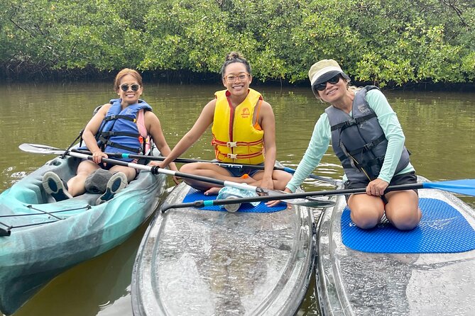 Guided Island EcoTour: CLEAR/Standard Kayak, SUP - Bonita Springs - Paddling through mangrove tunnels