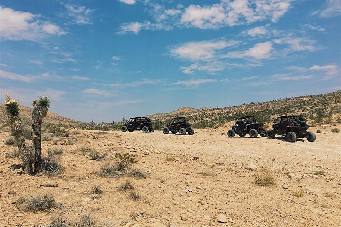 Guided Mojave Desert Off Road RZR Adventure - Sandy Valley, Joshua trees, and rock formations