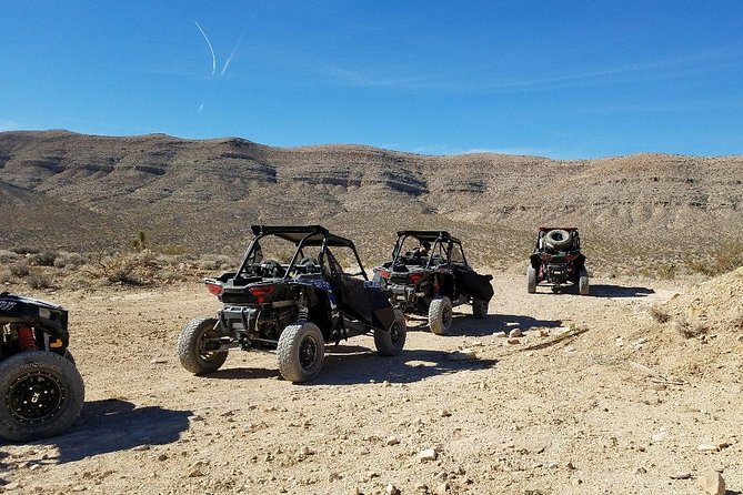 Guided Mojave Desert Off Road RZR Adventure - Is $114.99 per person a good value?