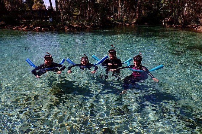 Guided Small Group Manatee Snorkeling Tour with In-Water Photographer - Arrival at 226 NE 5th Street