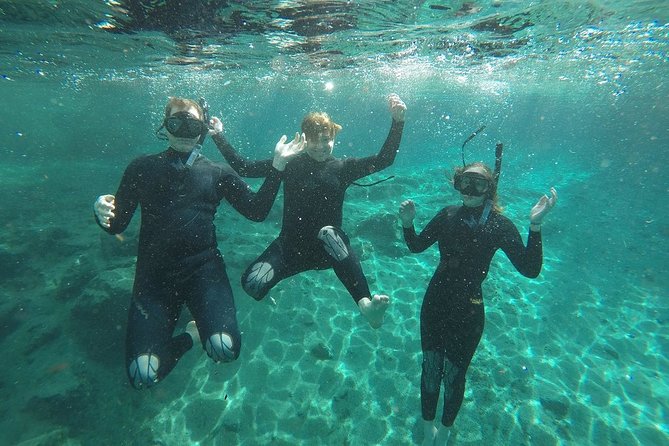 Guided Small Group Manatee Snorkeling Tour with In-Water Photographer - Boat ride to the manatee areas