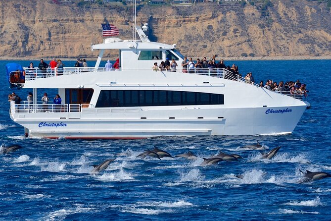 Guided Whale Watching Tour from Long Beach - Why the Sealife Guarantee Matters