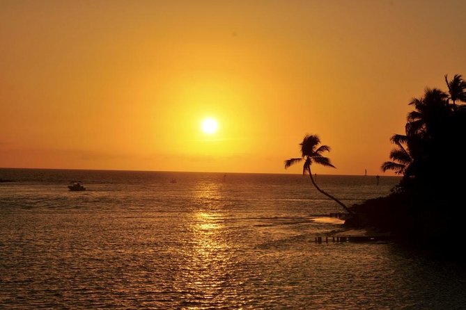 Gulf of Mexico Sunset Cruise from Naples - Key details before you book