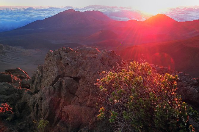 Haleakala Sunrise Tour with Breakfast and West Side Pickup - The 2:00 AM start and West Side pickup