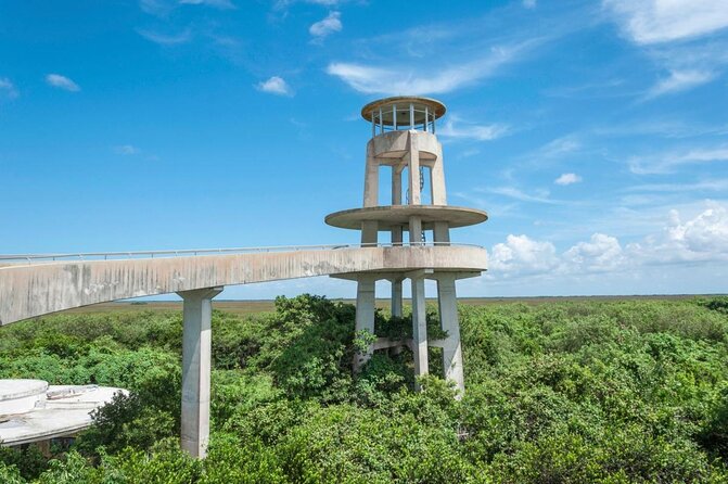 Half-day Everglades National Park Tour and 1-Hour Air Boat Ride - Key points to know before you book