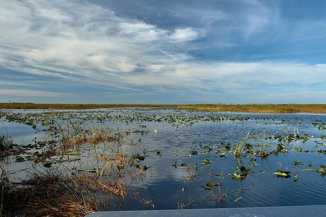 Half-day Everglades National Park Tour and 1-Hour Air Boat Ride - The Tamiami Trail and the River of Grass